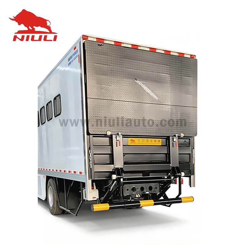 Tail Lift Special Customization