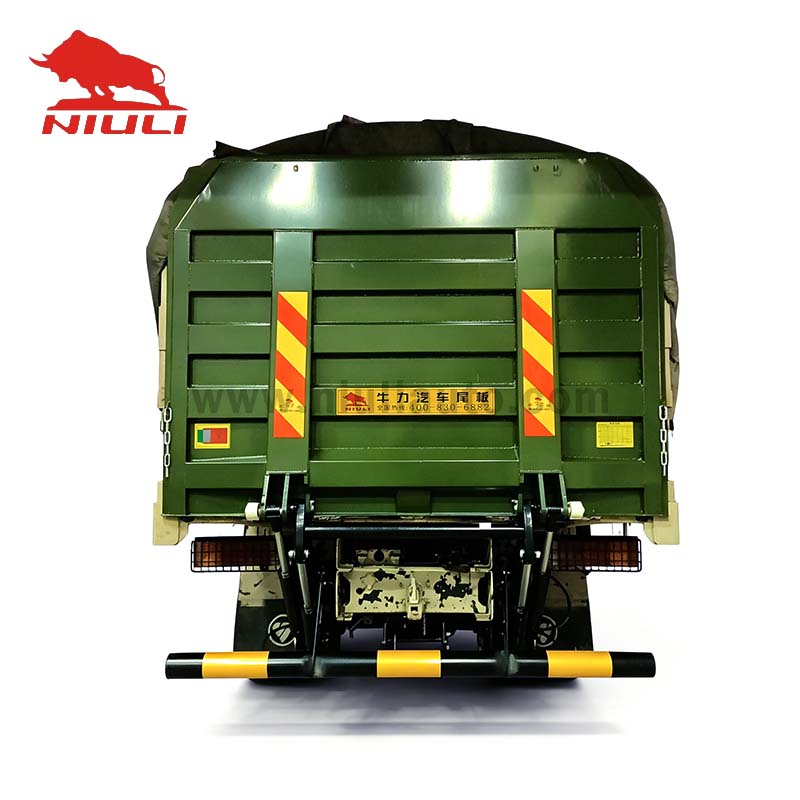 Tail Lift Special Customization